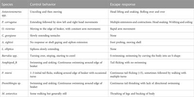 Temperatures leading to heat escape responses in Antarctic marine ectotherms match acute thermal limits